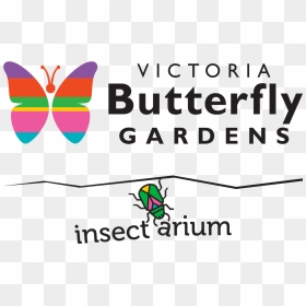 Butterfly Gardens, Victoria, Bc - Victoria Butterfly Gardens, HD Png Download - butterfly logo png