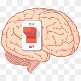 Brain Switch, HD Png Download - on off switch png