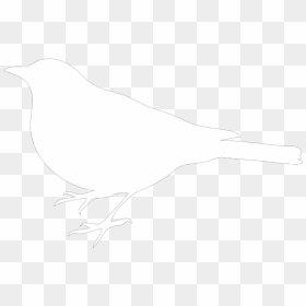 White Bird Png Icons - White Bird Vector Png, Transparent Png - white bird png