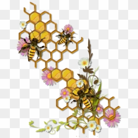 Bee And Honeycomb Clipart , Png Download - Honeycomb With Bees Drawing, Transparent Png - honey bees png