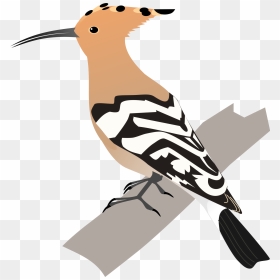Hoopoe Bird Animated , Png Download - Hoopoe Diagram, Transparent Png - animated png images