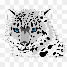 Animal Cat Leopard Snow Leopard Wild Cat C - Snow Leopard Clipart Png, Transparent Png - cartoon snow png