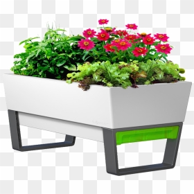Flower Box Png , Png Download - Self Watering Planters, Transparent Png - flower box png