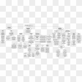 Document, HD Png Download - numero 2 png