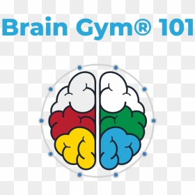 Optimal Brain Organization Clipart , Png Download - Brain Gym 101, Transparent Png - brain gears png