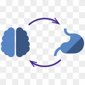 Gut Brain Axis Clipart , Png Download - Gut Brain Axis Icon, Transparent Png - small intestine png