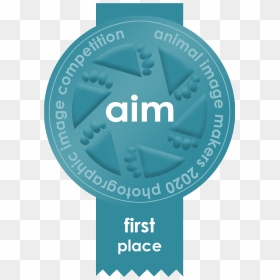 Starlite Aviation, HD Png Download - first place ribbon png
