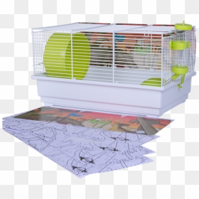 Cage, HD Png Download - hamster wheel png