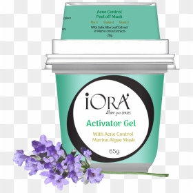 English Lavender, HD Png Download - tea tree png