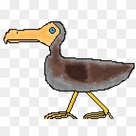 Transparent Dodo Bird Png - Duck, Png Download - dodo bird png