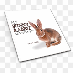 Domestic Rabbit, HD Png Download - bunny rabbit png