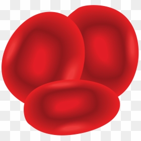 Illustration Of Red Blood Cells - Circle, HD Png Download - red blood cells png