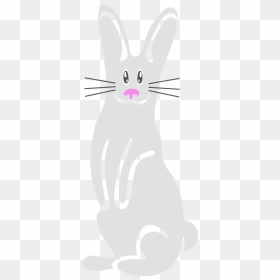 Easter, HD Png Download - bunny rabbit png