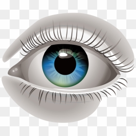 Human Eye Euclidean Vector Clip Art - Drawing Blue Green Eye Art, HD Png Download - ojo png