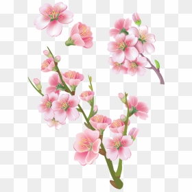 Sakura Transparent Images - Sakura Png, Png Download - sakura branch png