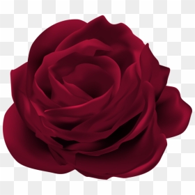 Dark Red Rose Flower Png Clip Art Image - Dark Rose Transparent Background, Png Download - falling flowers png