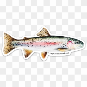 Trout Clipart Rainbiw - Coastal Cutthroat Trout, HD Png Download - rainbow trout png