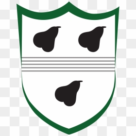 Worcestershire County Cricket Club, HD Png Download - crickets png