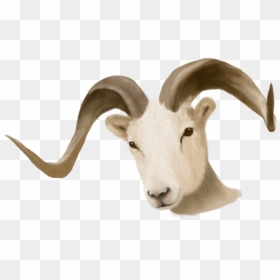 Painted Ram Head - Ram Head Transparent Background, HD Png Download - ram head png