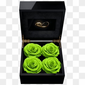 Flower Box With Video, HD Png Download - flower box png