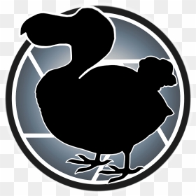 Duck Clipart , Png Download - Illustration, Transparent Png - dodo bird png