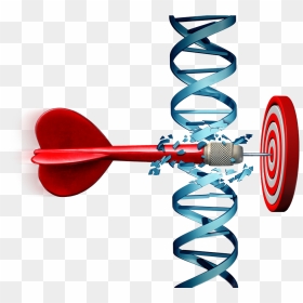 An Arrow Cutting Through Dna And Hitting Target - Gene Manipulation, HD Png Download - big red arrow png