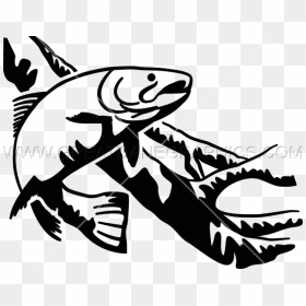Fish Clipart Trout - Trout Black & White, HD Png Download - rainbow trout png