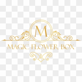 Magic Flower Box - Calligraphy, HD Png Download - flower box png