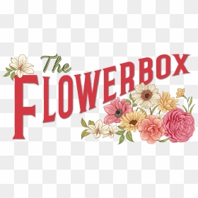Image70 - Common Zinnia, HD Png Download - flower box png