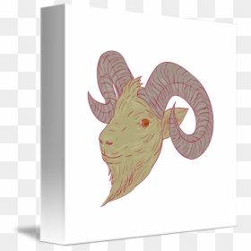 Mad Clipart Ram - Drawing, HD Png Download - ram head png