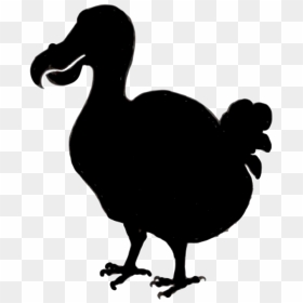 Dodo Clipart , Png Download - Silhouette Dodo Clipart, Transparent Png - dodo bird png