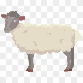 Sheep Fur Cartoon, HD Png Download - ram head png