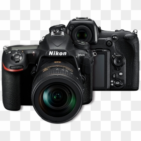 Find Out More - Nikon D850 Vs D500, HD Png Download - nikon png