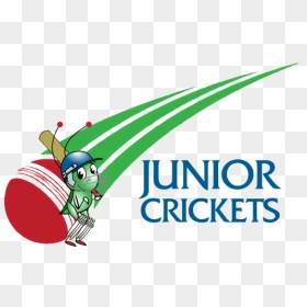 Train Like The Pros, Play Like The Pros - Yorkshire County Cricket Club, HD Png Download - crickets png