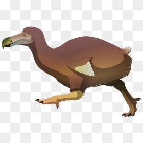 Island Weirdness - Alphynix Dodo, HD Png Download - dodo bird png