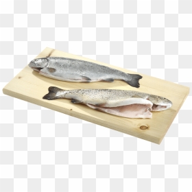 Eciens Seafood Trout Gutted - Touladi, HD Png Download - rainbow trout png