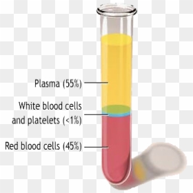 Blood Plasma Png, Transparent Png - red blood cells png