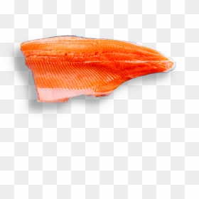 Fish Slice, HD Png Download - rainbow trout png