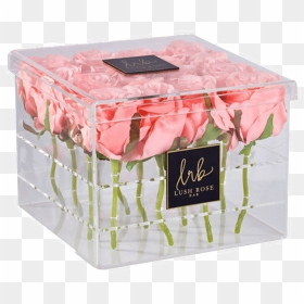 Am Fb 06a, HD Png Download - flower box png