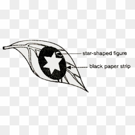 Sketch, HD Png Download - black strip png