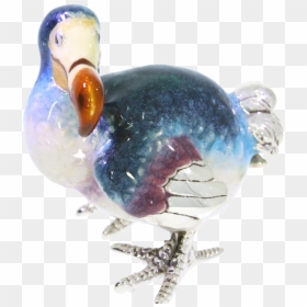 Bead, HD Png Download - dodo bird png