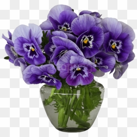 Transparent Vase Of Flowers Png - Violets Flower In A Vase, Png Download - vase of flowers png