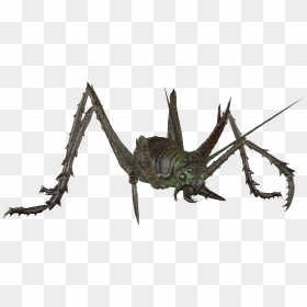 Dlc04 Enccavecricketglowing01 - Cave Grasshopper, HD Png Download - crickets png