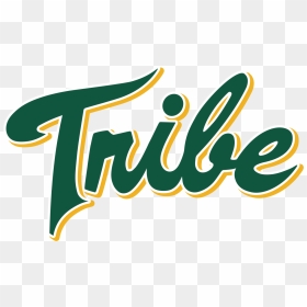 William And Mary Athletic Logo, HD Png Download - mary png