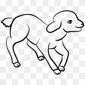 Sheep Coloring Book Dog Breed Drawing Black And White - Lamb Drawing Png, Transparent Png - white dog png