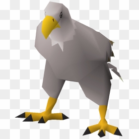 Bald Eagle, HD Png Download - eagle .png