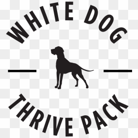 Silhouette, HD Png Download - white dog png