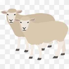 Sheep Clipart - Bighorn, HD Png Download - sheep clipart png