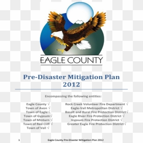 Shaffer Cwpp Finalreport-1 - Eagle County, HD Png Download - eagle .png