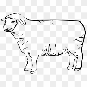 This Free Clipart Png Design Of Sheep Clipart Has - Clip Art Sheep Black And White, Transparent Png - sheep clipart png